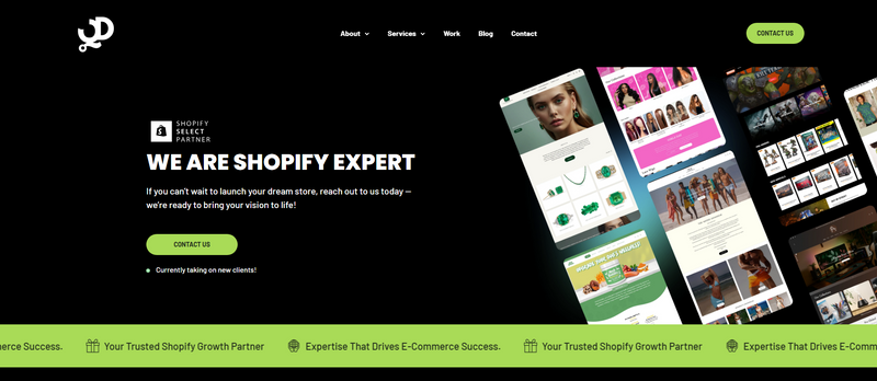 E-Commerce Growth Partner